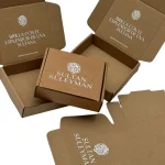 Caja De Envío Kraft